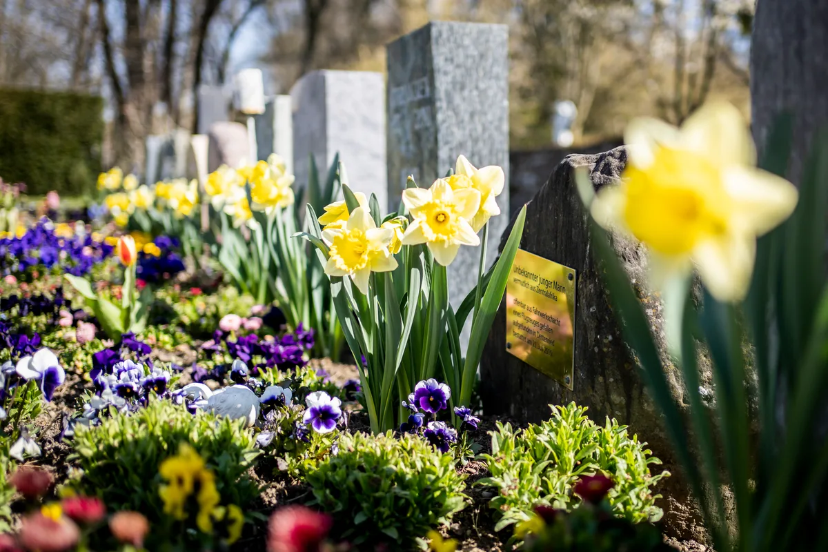 Diese Grabstätten machen grundsätzlich keinen «unwürdigen» Eindruck. Dennoch will der Gemeinderat den Friedhof Weisslingen aufwerten. Grabstätten auf einem Friedhof.